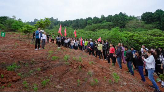 省尊龙凯时集团开展龙泉山都会森林公园 “包山头”植树运动